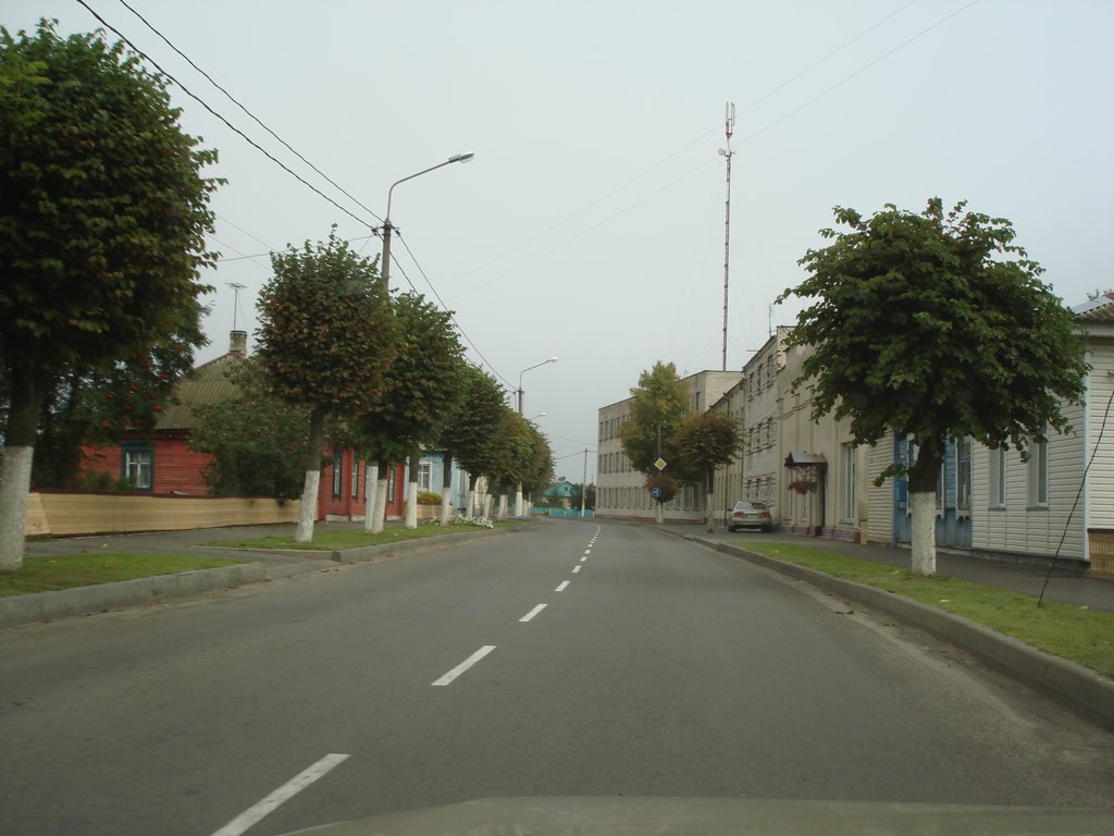 г.Верхнедвинск,Беларусь . август 2009.