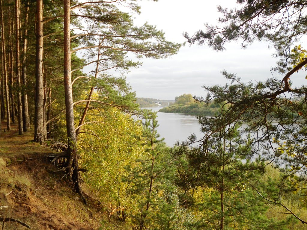 Dzvina river bank in Verknyadzvinsky park