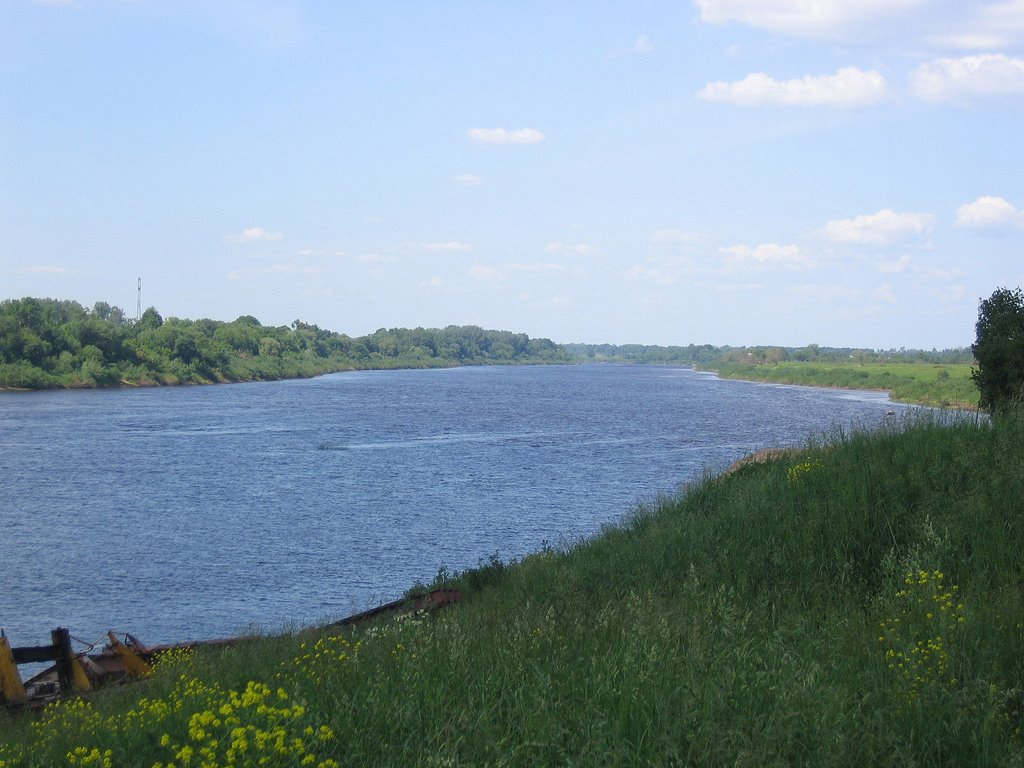Dvina