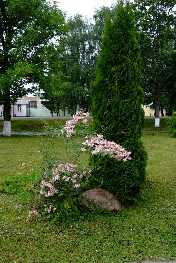 Verkhnedvinsk