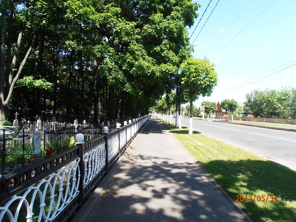 улица Совецкая.