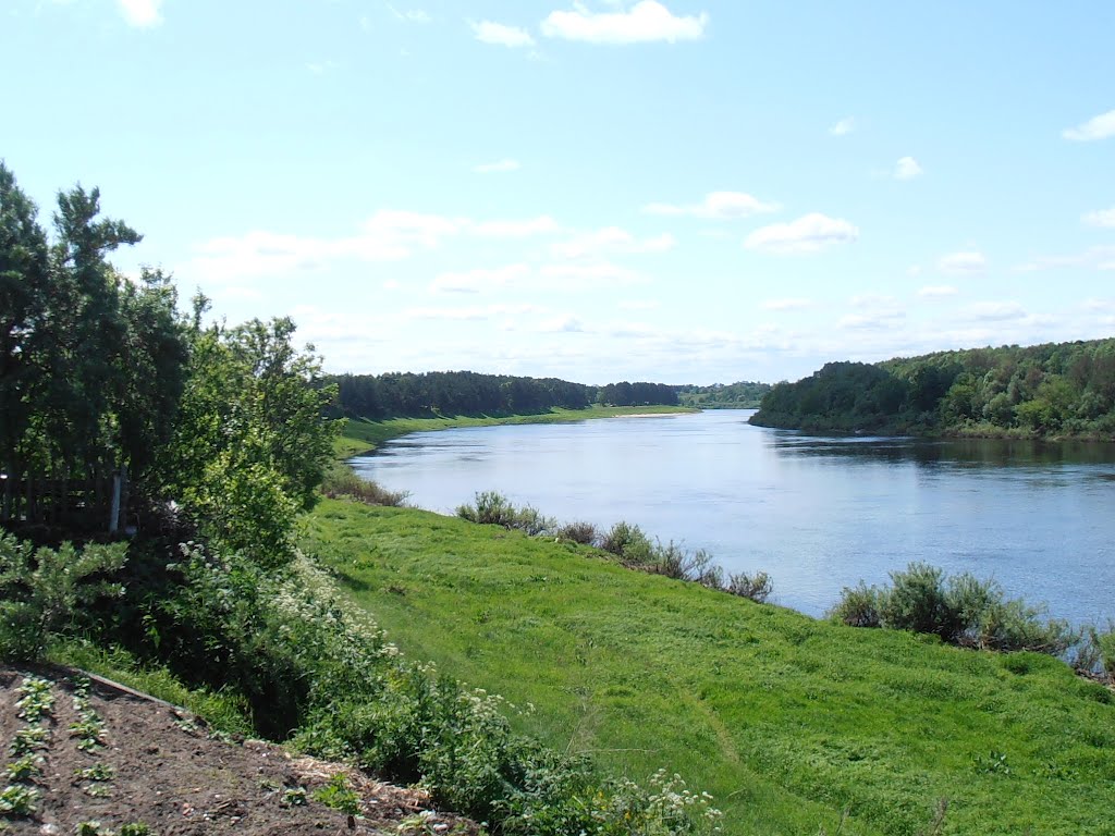 Панорама верхнедвинского парка на берегу Западной Двины