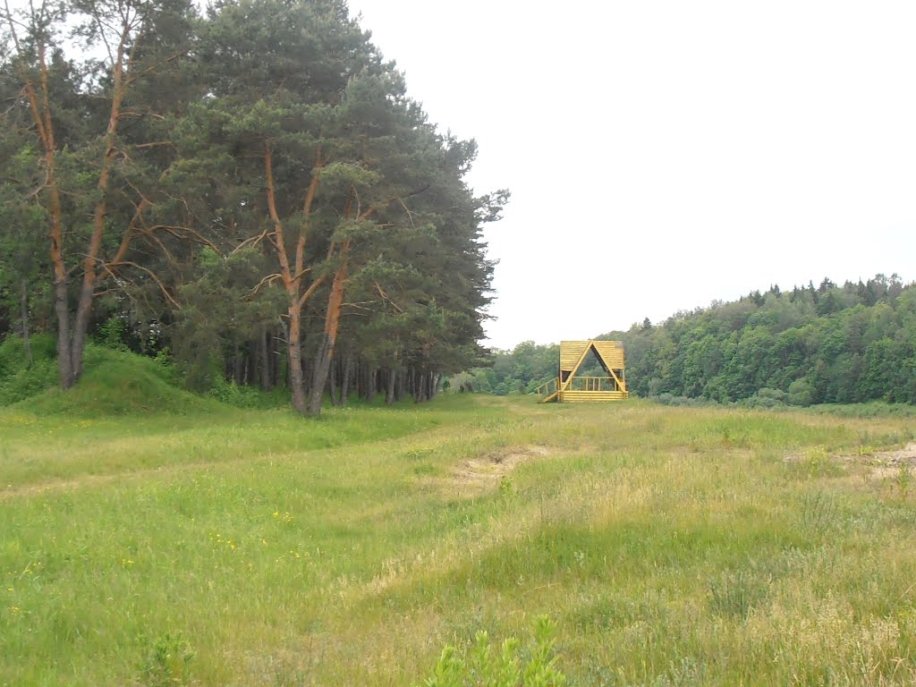 пейзаж верхнедвинского парка