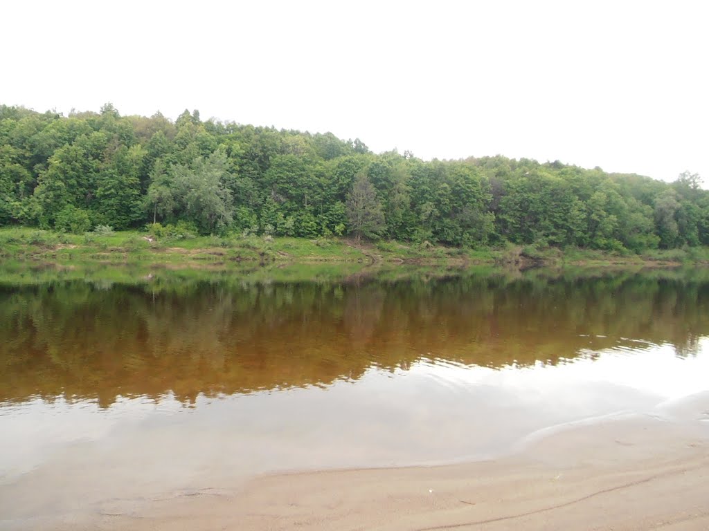 dvina river