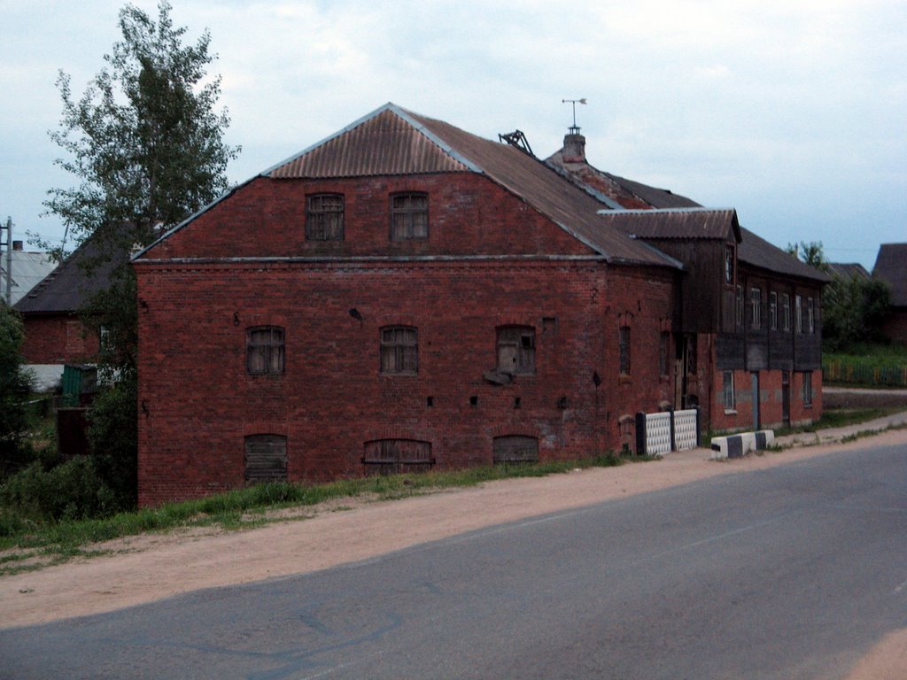 Old house in Vidzy