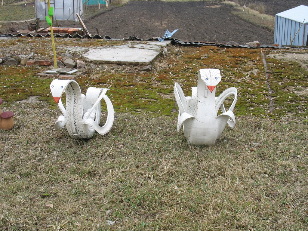 "Лебядзі". "Swans" from the old tires.