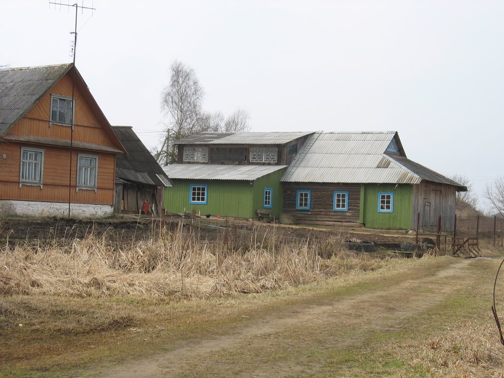 Хаты ў Вiдзах.
