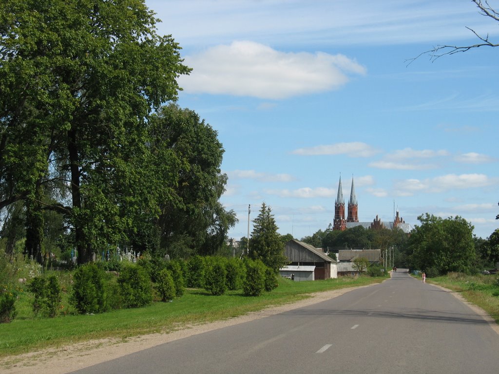 Відзы з дарогі на Відзы Лаўчынскія.