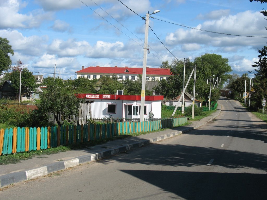 Вуліца ў Відзах
