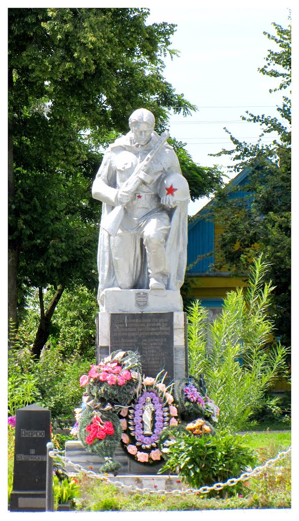 Ви