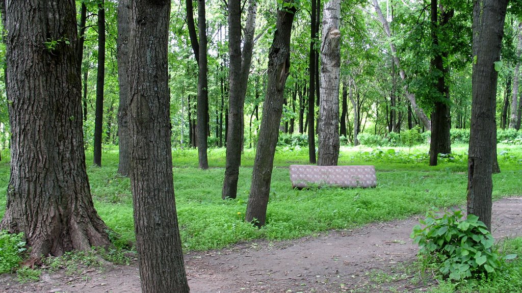Karatkievič Park in Viciebsk (with sofa back leaned to the tree :)