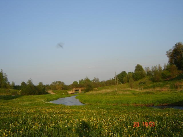 Горожанка