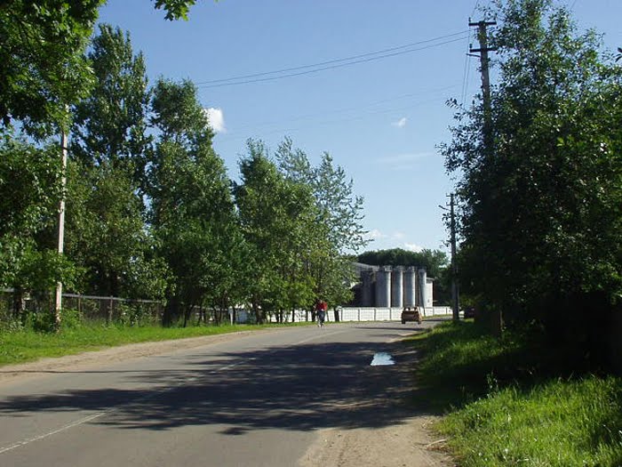 Фото В. Слабина.