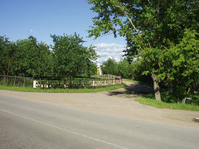 Фото В. Слабина.