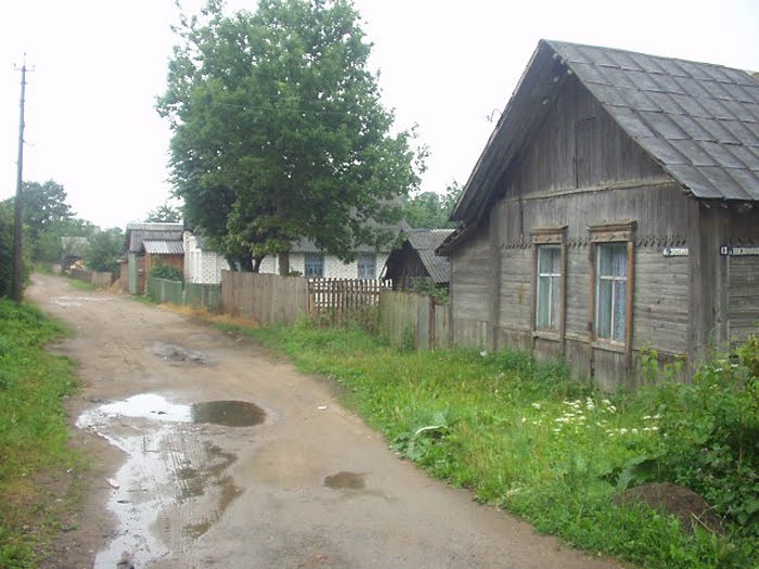 Фото В. Слабина.