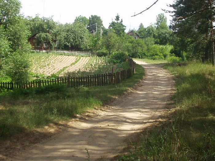 Фото В. Слабина.