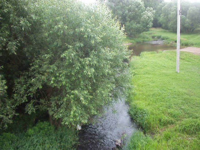 Горожанка