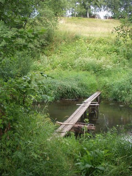 Фото В. Слабина.