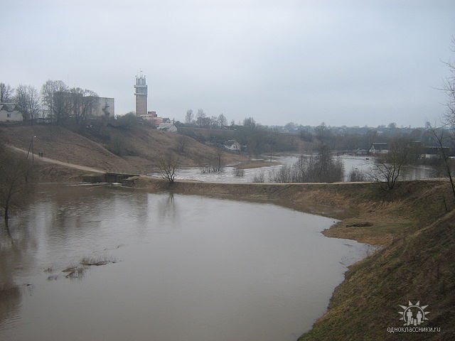 Горожанка