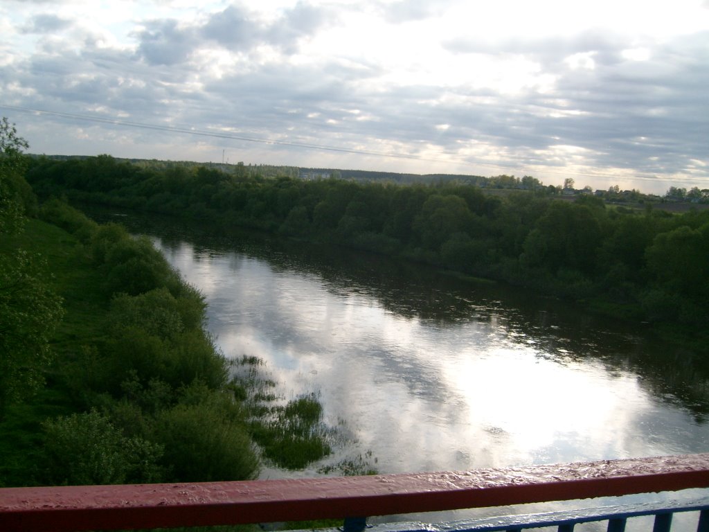 The river Disna