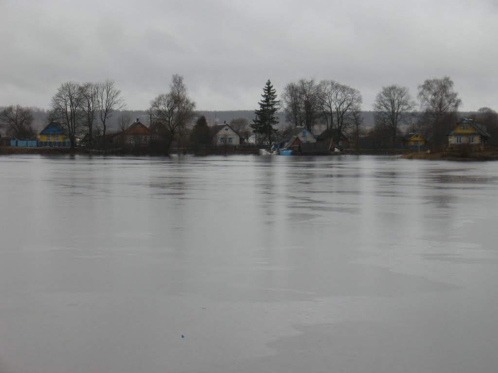 Наводнение в Дисне, весна 2010