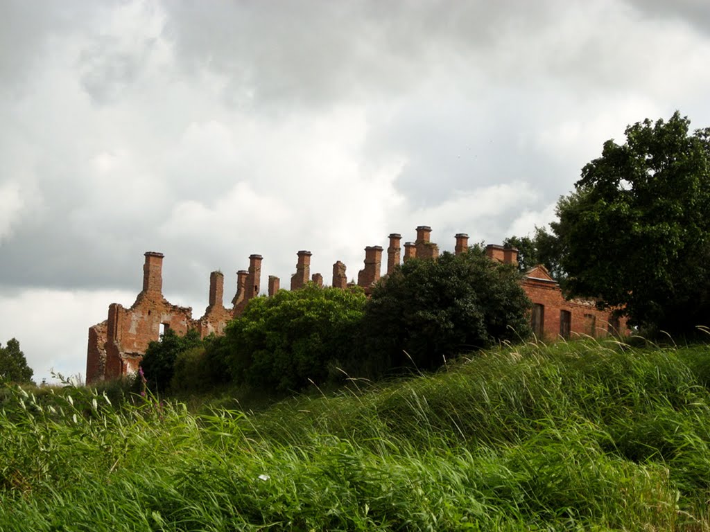 Руины городского госпиталя XIX в. (10.08.2008)