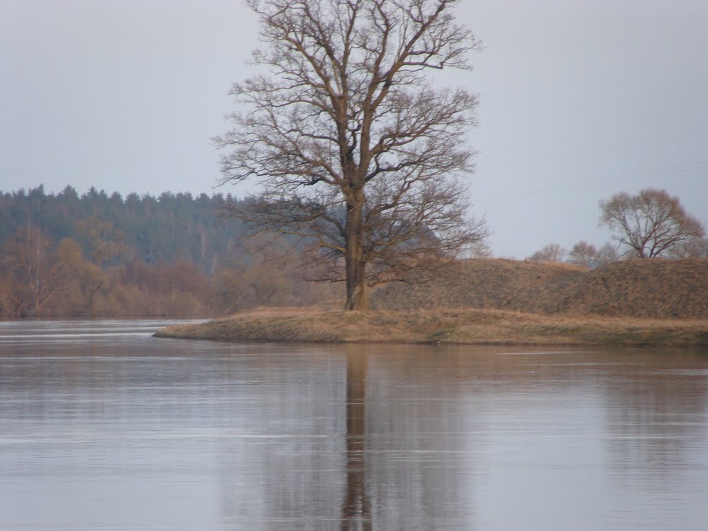 small island