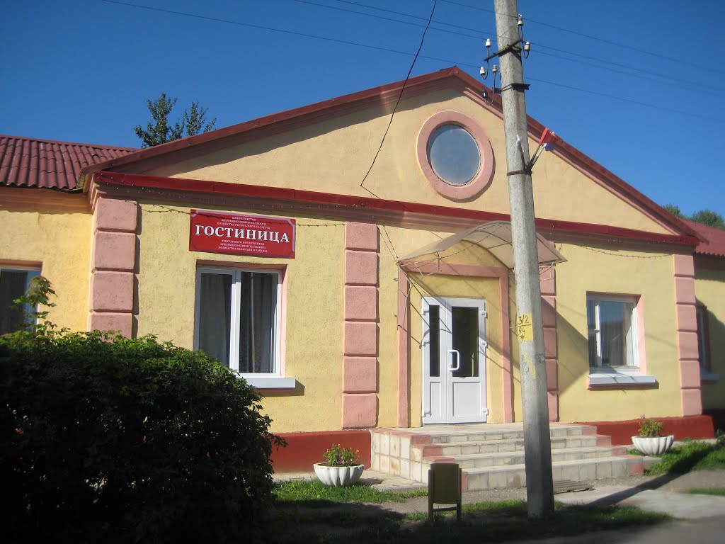 Дисна, гостиница