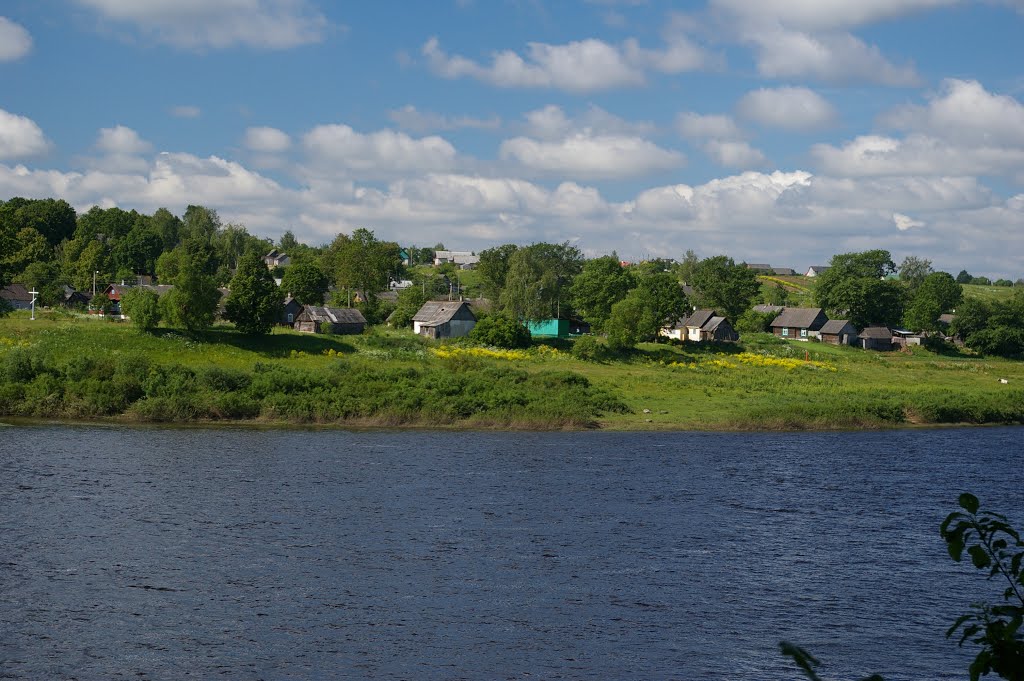 Пиедруя.Белорусский берег. 2008-06-15