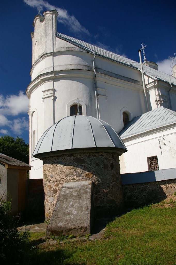 Пиедруя.Католический костёл Св.Девы Марии.1759-74 г. 2008-06-15