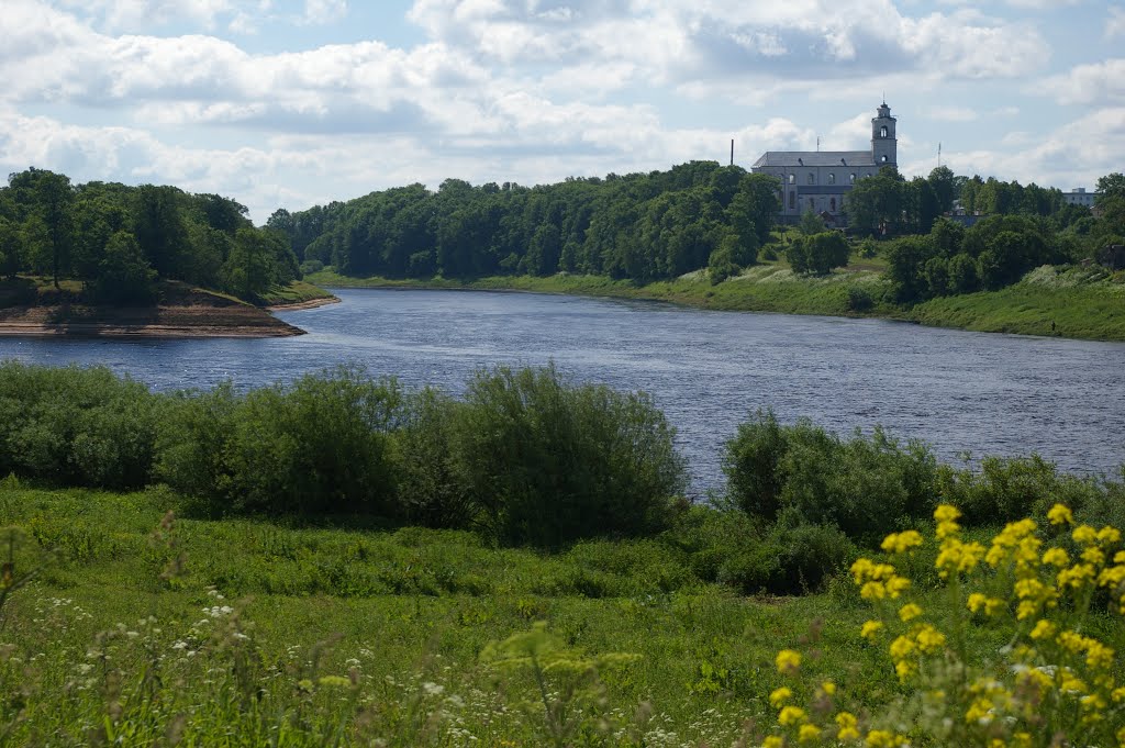 Пиедруя.Двина.Друя на том берегу. 2008-06-15