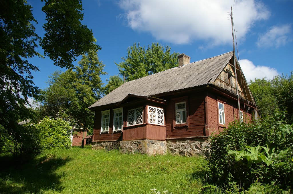 Пиедруя.Домик на берегу Двины. 2008-06-15