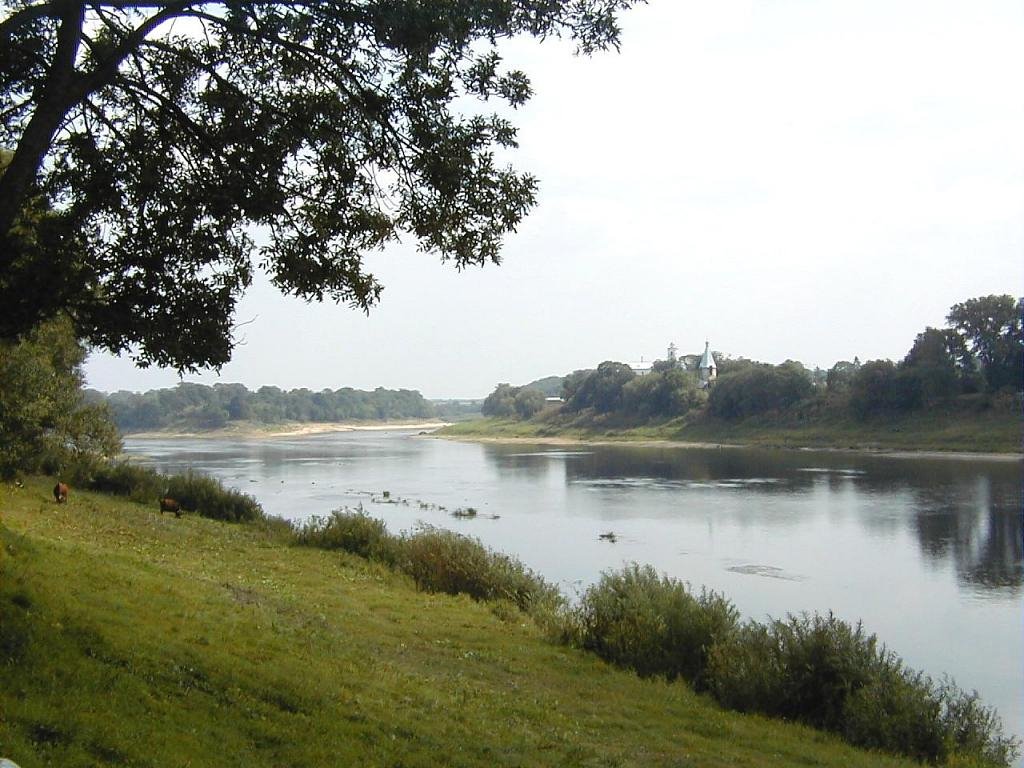 Druja