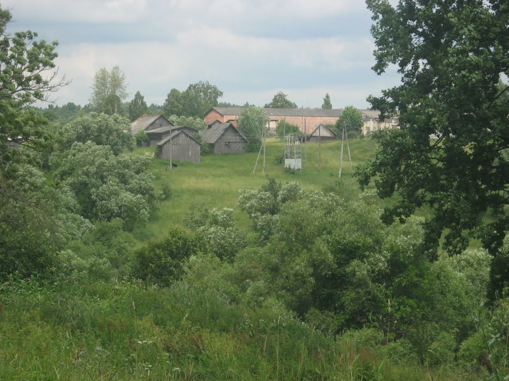 Piedruja