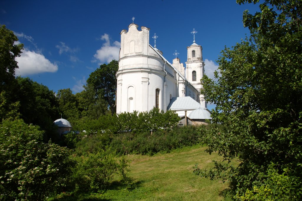 Пиедруя.Католический костёл.Св.Девы Марии.1759-74 г. 2008-06-14