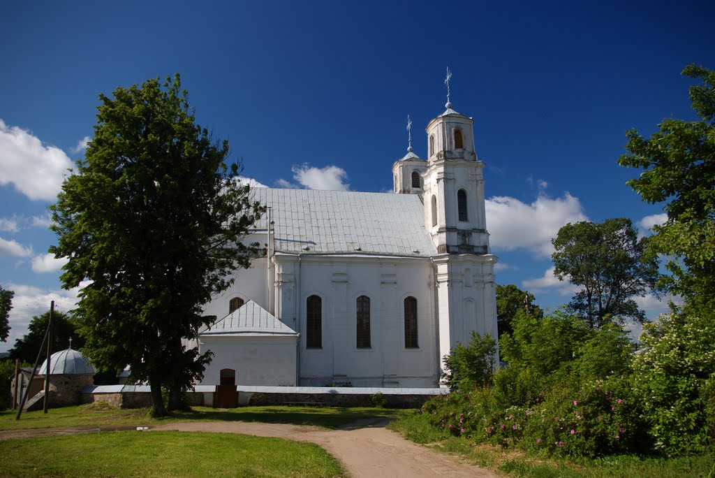 Пиедруя.Католический костёл Св.Девы Марии.1759-74 г.  2008-06-14