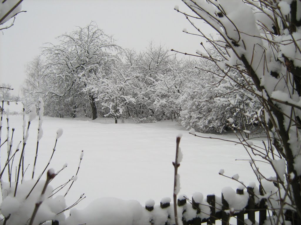 Дубровно в снегу. 2008