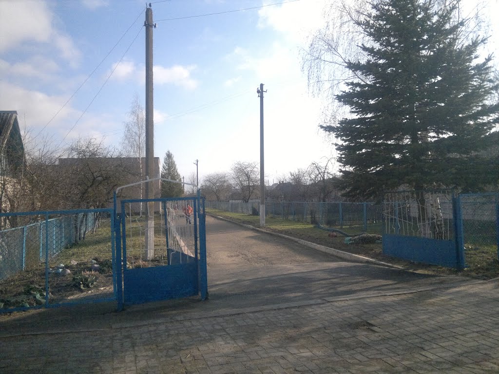 Садик