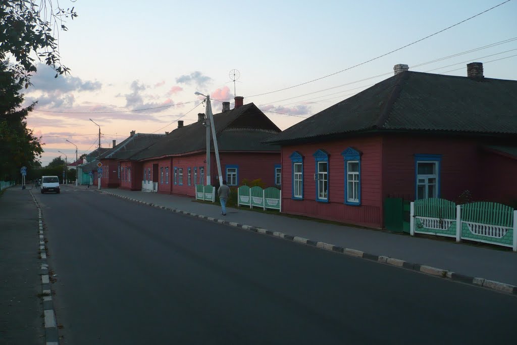 Sreet view / Lepel / Belarus