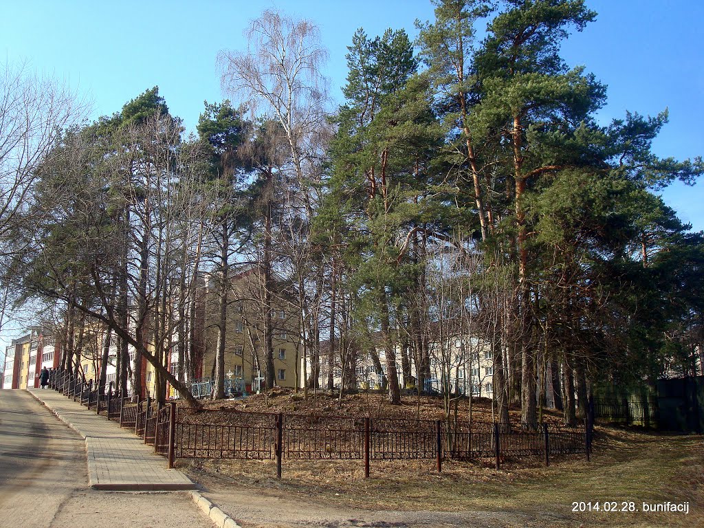 Старое кладбище деревни Середома