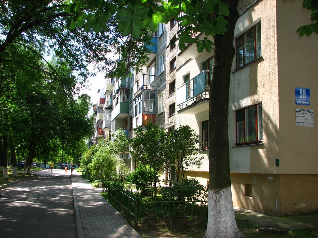 Новополоцк 2010 ул молодежная 98