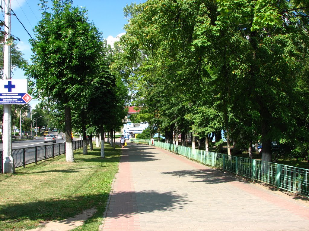 Новополоцк 2010 Космос