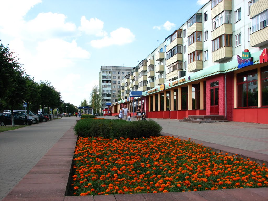 Новополоцк  2010 детский мир