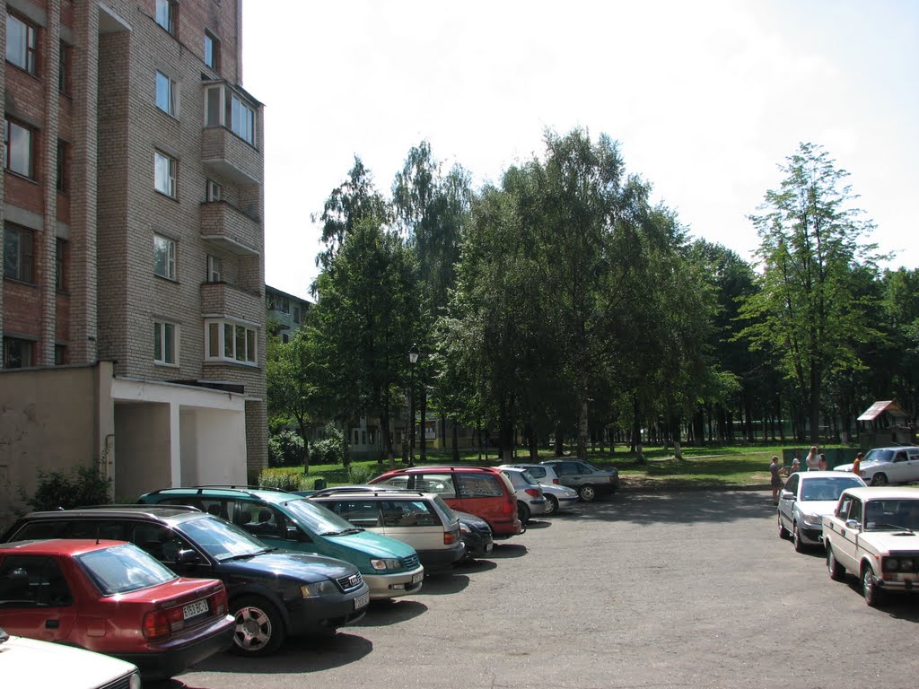 Парковая 18 (июль 2010)