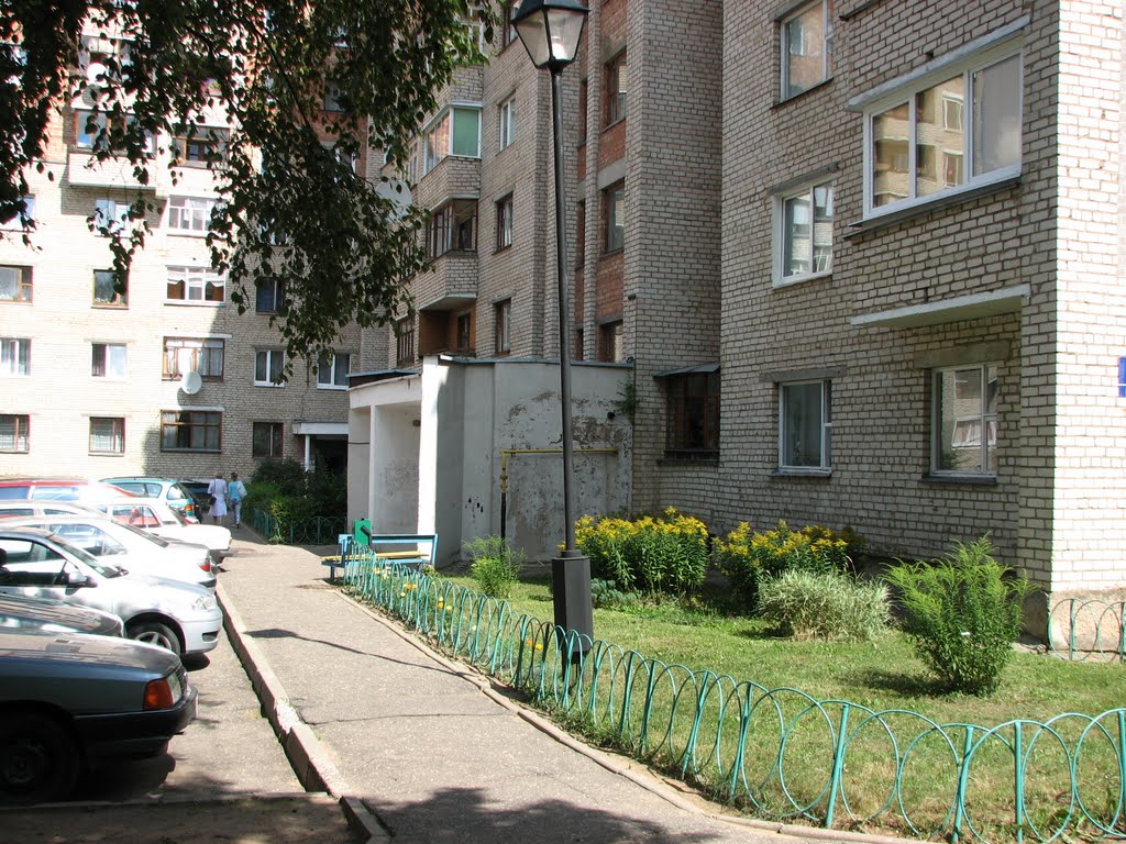 Парковая д.18 июль 2010