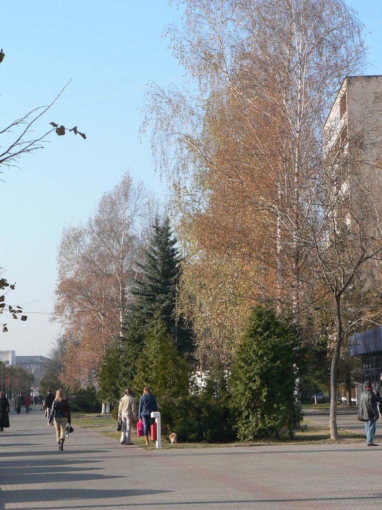 Molodejnaya str.