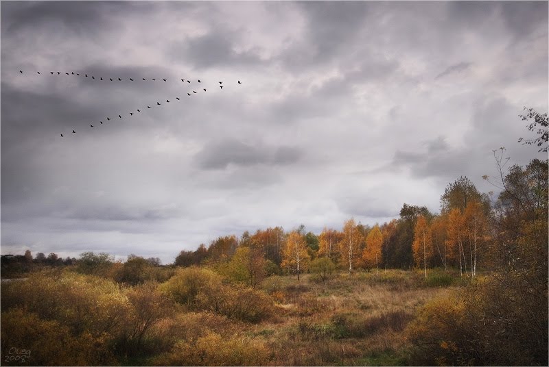 Осень