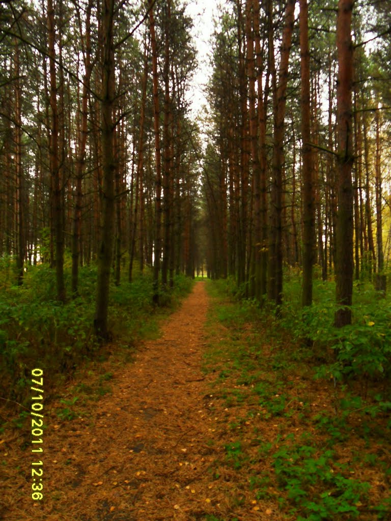 в парке