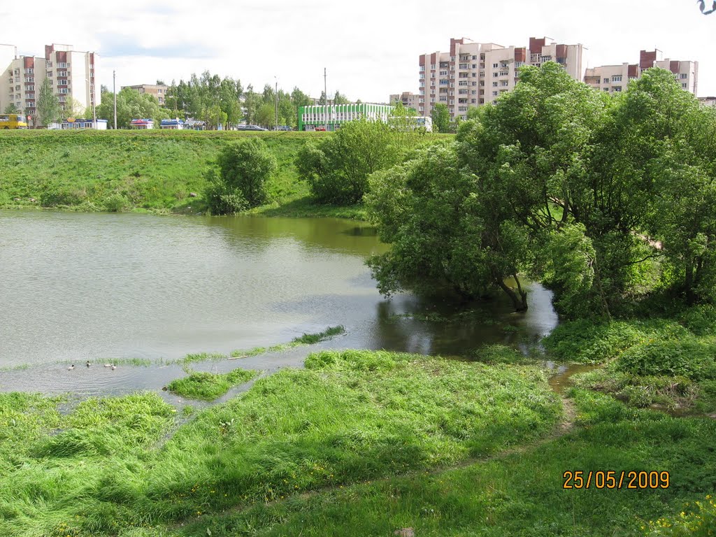 Орша, улица Семенова