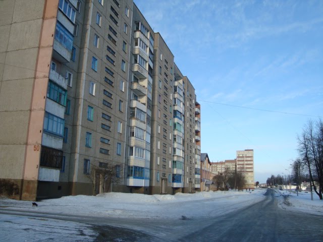 вулiца Шаучэнка